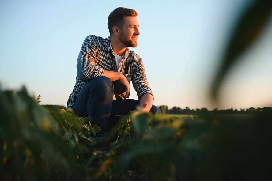 Farmer in field at days end knelt in a field admiring his young crop. 